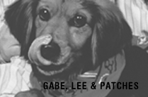 Gabe, Lee, and Patches